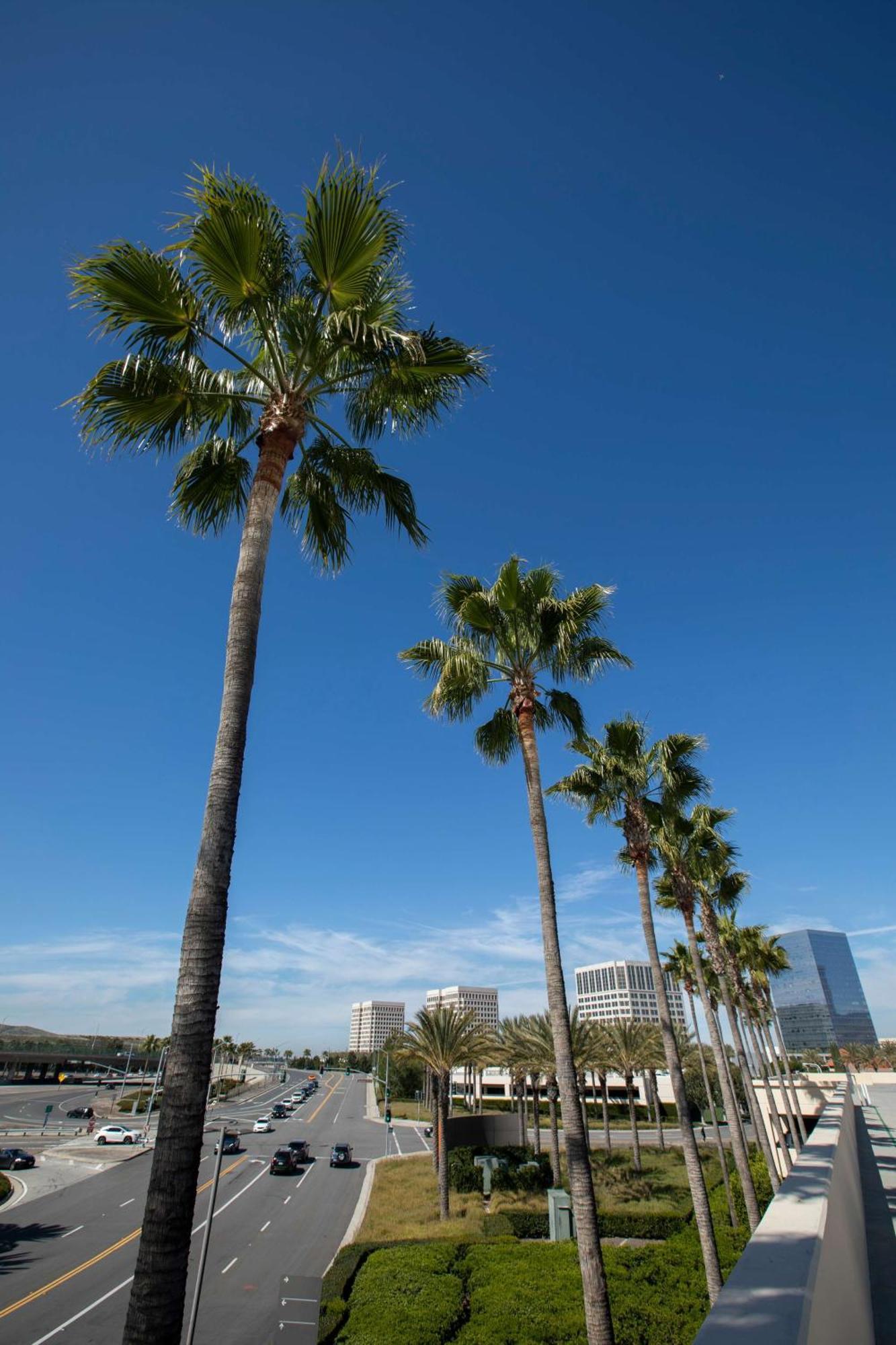 Hotel Hyatt Regency Irvine Exteriér fotografie